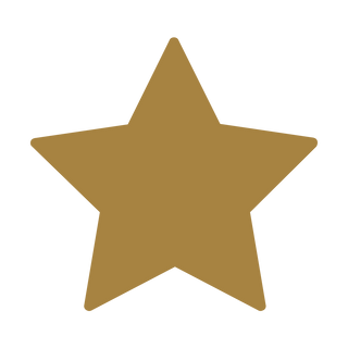 star icon
