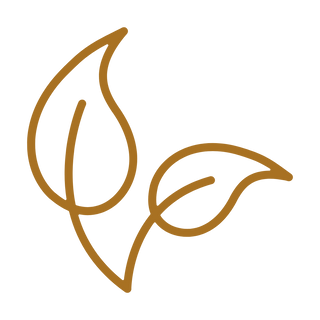 leaf, all natural icon
